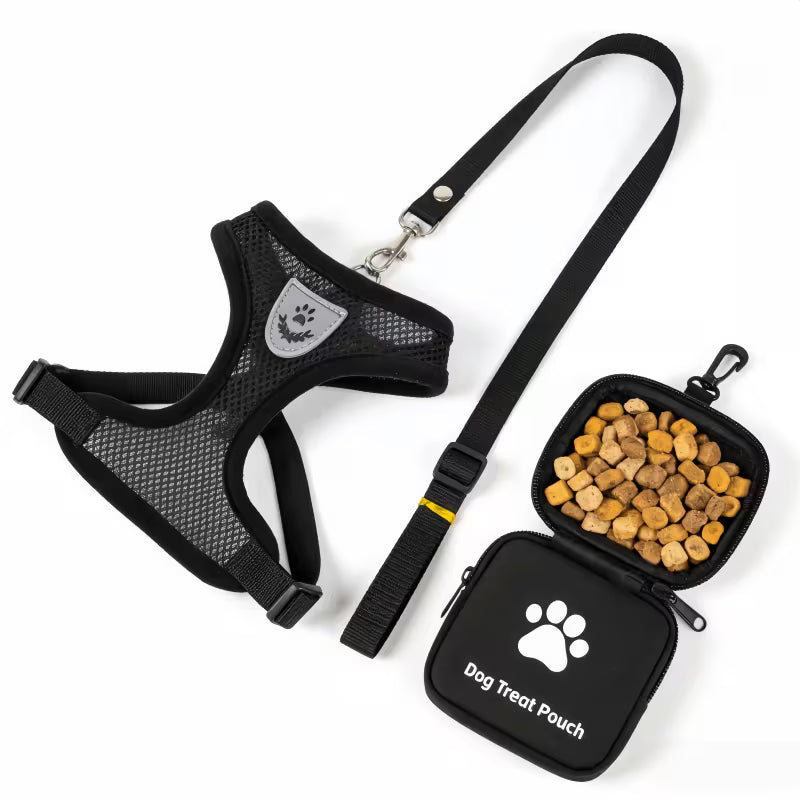 Bolsa dispensadora de snacks